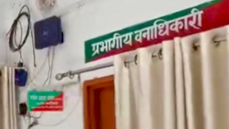 नए साल पर जंगल में पार्टी की सोची तो आ जाएगी मुसीबत, डीएफओ की सख्ती से बढ़ी निगरानी, वन विभाग अलर्ट मोड पर