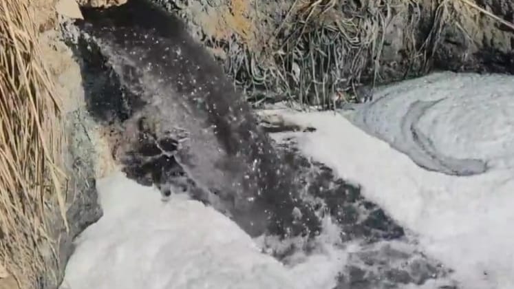 गाजियाबाद के गांवों में फैक्ट्रियों का जहरीला पानी, ग्रामीण बोले- “या तो यह जहर बंद कराइए, या हमें मरने की इजाजत दीजिए”