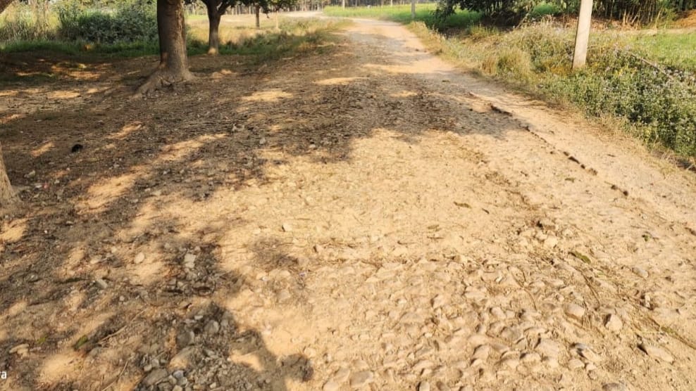 दशकों से मरम्मत के इंतजार में श्रीनगर-शिवपुरी सड़क, जान जोखिम में डालकर चल रहे राहगीर, ग्रामीणों ने की पुनर्निर्माण की मांग