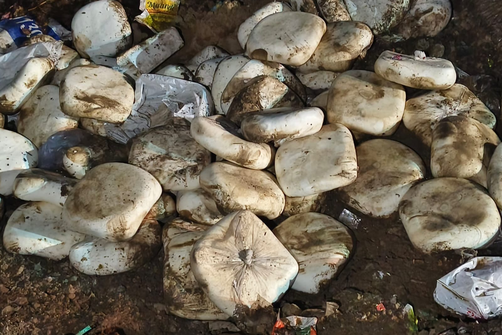 होली से पहले गाजियाबाद में मिलावटखोरों पर खाद्य विभाग का शिकंजा, लाखों का मिलावटी पनीर-खोया नष्ट