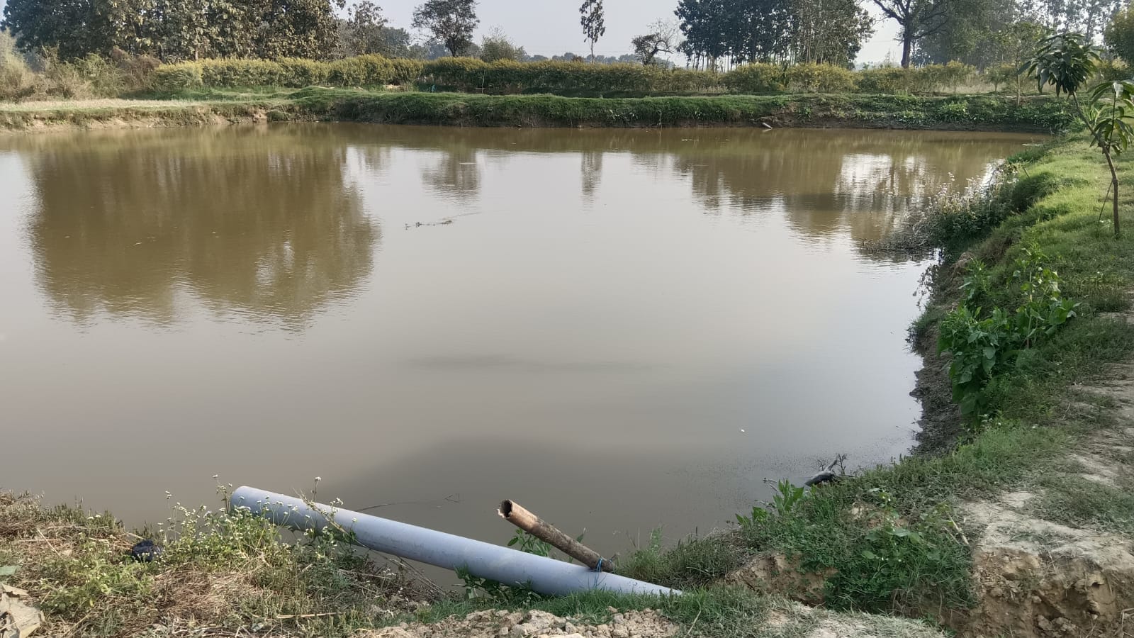 महराजगंज में मछली पालक की आजीविका पर वार, पोखरी में जहर डालने का आरोप, पुलिस ने शुरू की जांच