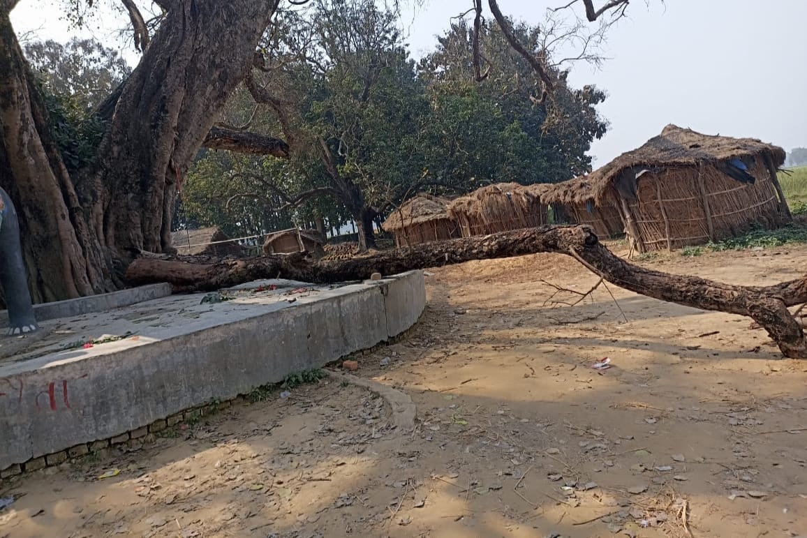 महराजगंज में मुंडन कार्यक्रम के दौरान हादसा, चबूतरे पर बैठी महिलाओं पर गिरी पीपल की डाल, हालत गंभीर
