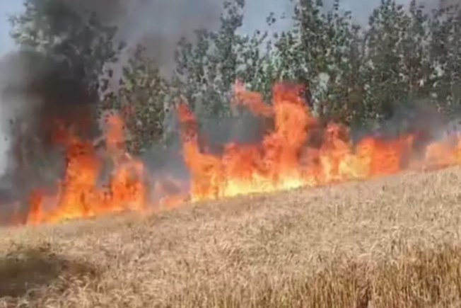 Rampur News: भीषण गर्मी में आग का तांडव, किसानों की सूझबूझ से पाया गया काबू, तीन बीघा फसल जलकर खाक