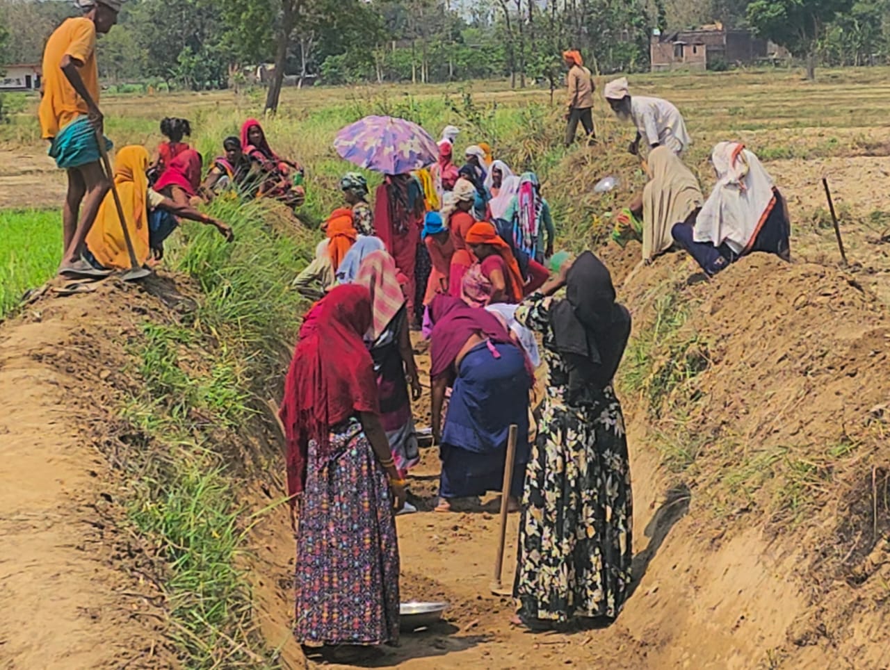 मनरेगा में बड़ा खेल! ऑनलाइन हाजिरी और जमीनी हकीकत अलग-अलग, रोजगार सेवक का बयान बना चर्चा का विषय