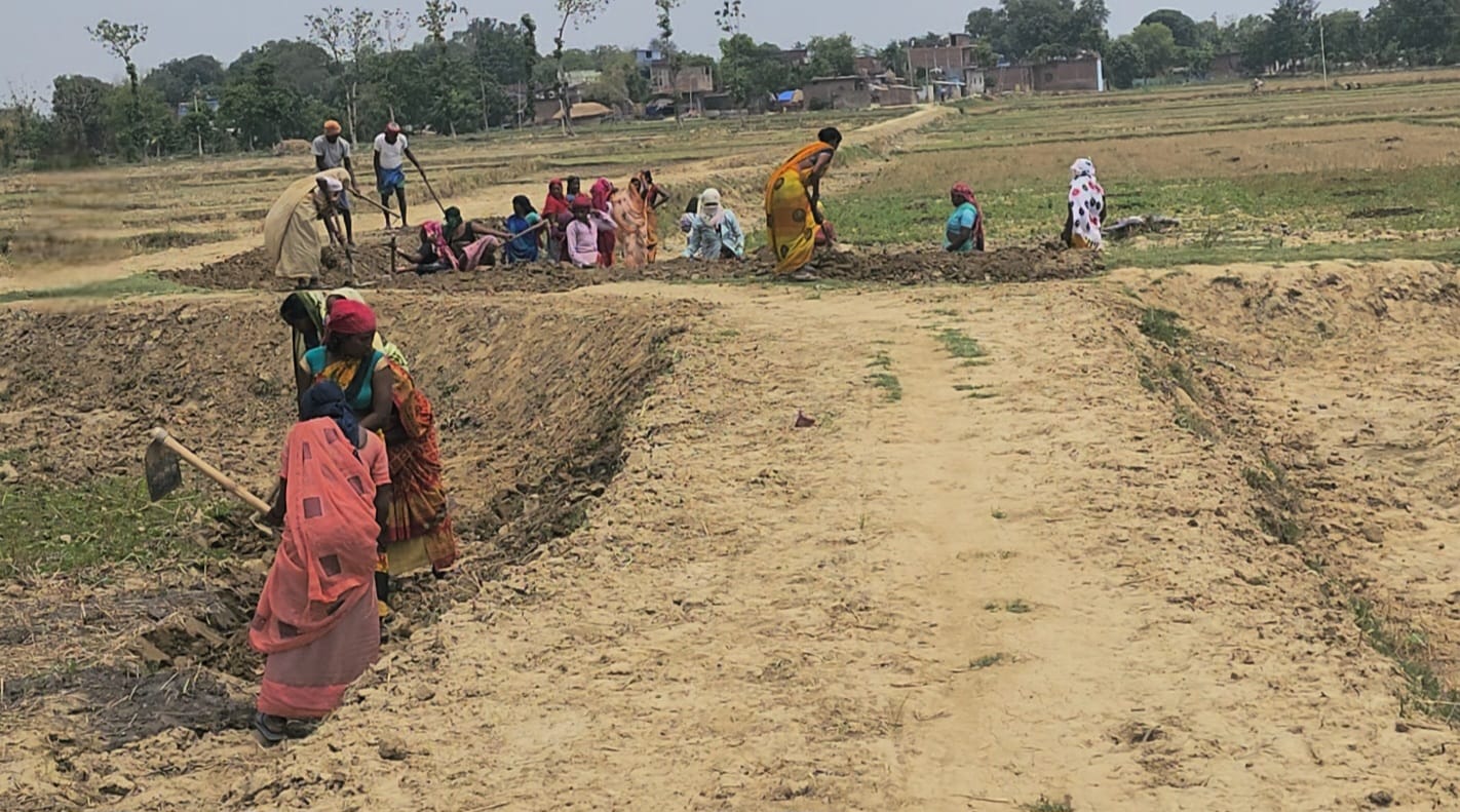 हनुमानगढ़िया में मनरेगा योजना सवालों के घेरे में, पोर्टल पर दर्ज हुई उपस्थिति, मौके पर नहीं पहुंचे मजदूर